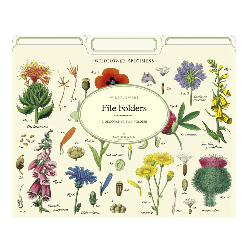 סט 12 תיקיות מסמכים: Wild Flowers