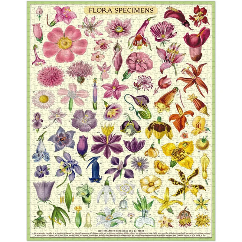 פאזל 1000 חלקים: Flora Specimems