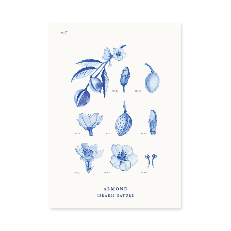 פרינט: Almond Tree A3