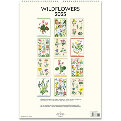 לוח שנה לתלייה:  Wildflowers 2025