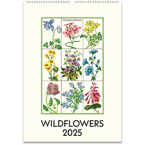 לוח שנה לתלייה:  Wildflowers 2025