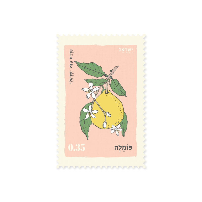 גלויה : Pomelo