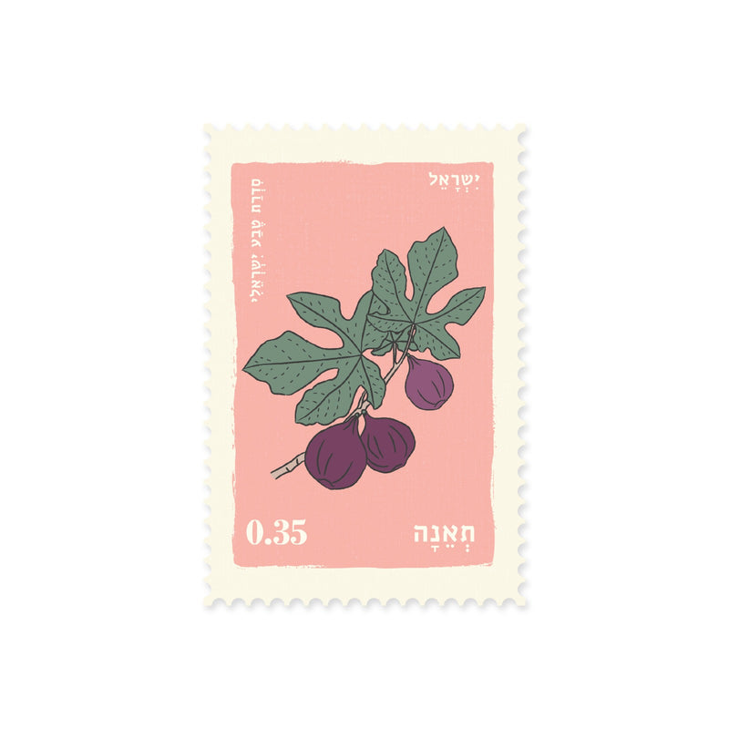 גלויה: Fig