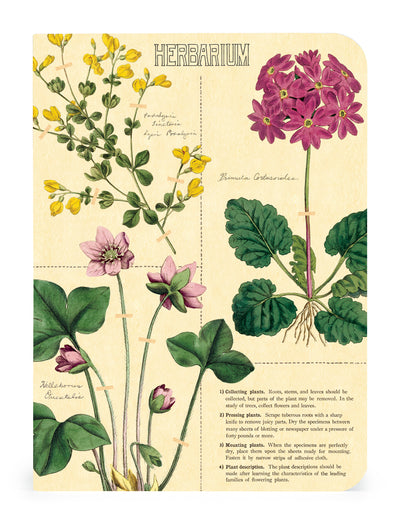 3 מחברות מיני : Herbarium