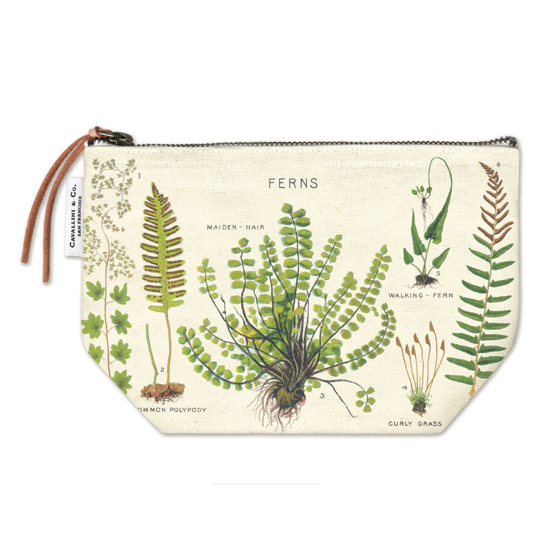 נרתיק : Ferns