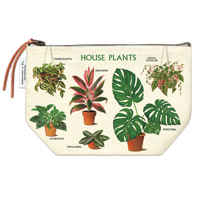 נרתיק : House Plants