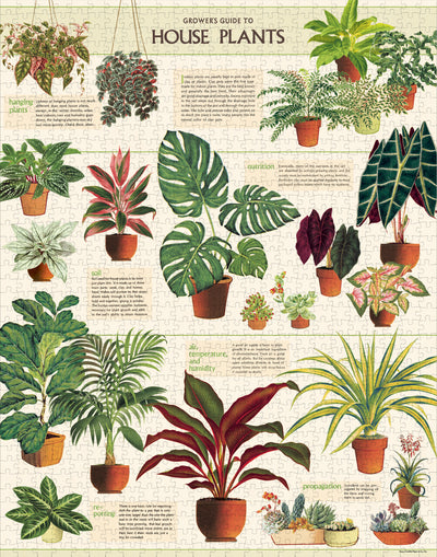 פאזל 1000 חלקים : House Plants