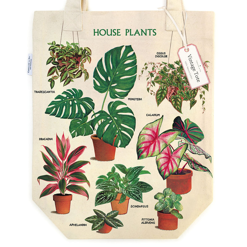 תיק קנבס : House Plants