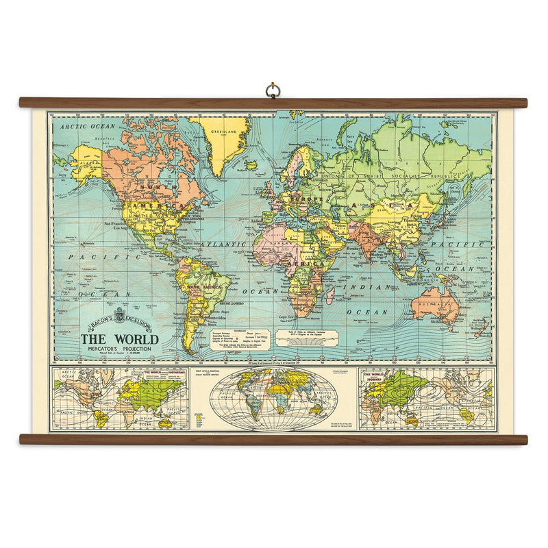 פוסטר World Map : School Chart